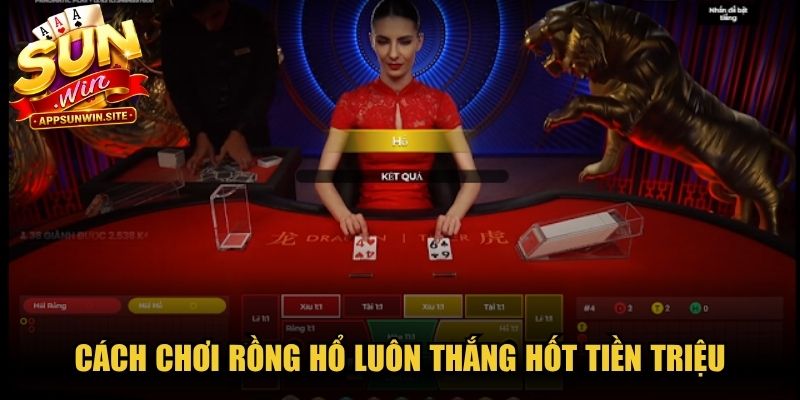 Cách chơi Rồng Hổ luôn thắng hốt tiền triệu, dễ dàng áp dụng