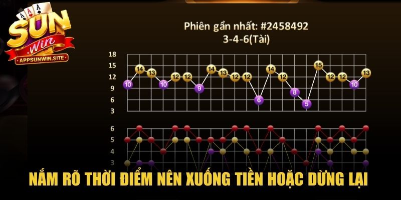 Nắm rõ thời điểm nên xuống tiền hoặc dừng lại trong Tài Xỉu Sunwin